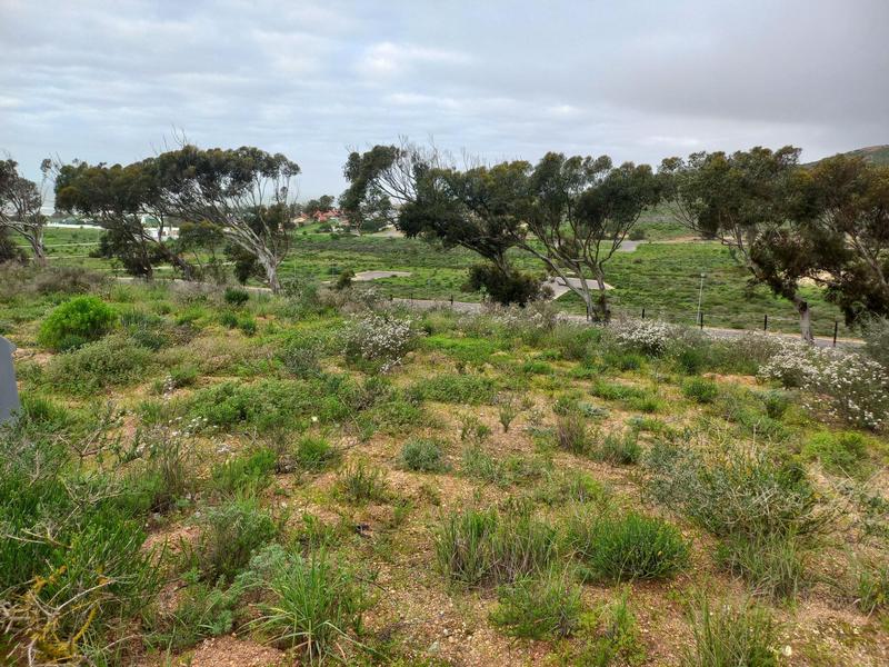 0 Bedroom Property for Sale in Sandy Point Western Cape